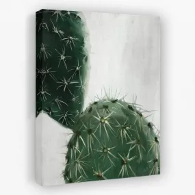 Cactus Plain